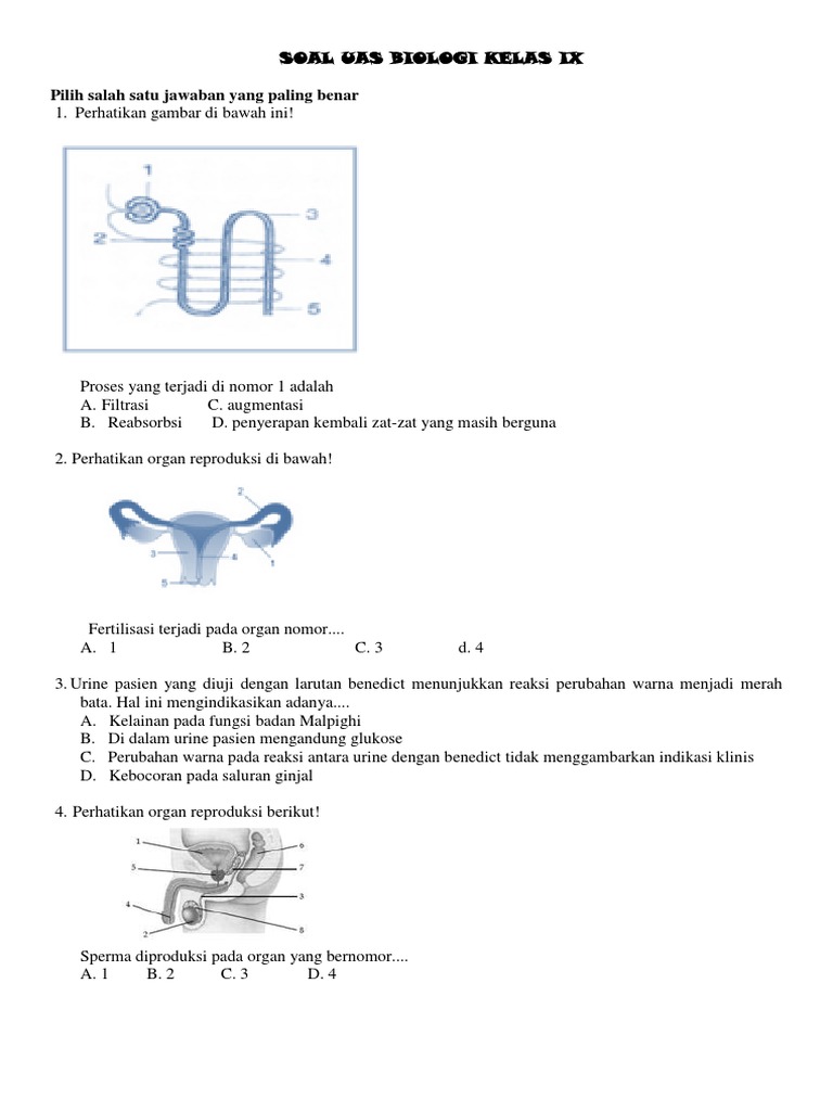 SOAL UAS BIOLOGI KELAS IX docx SOAL UAS BIOLOGI KELAS IX docx