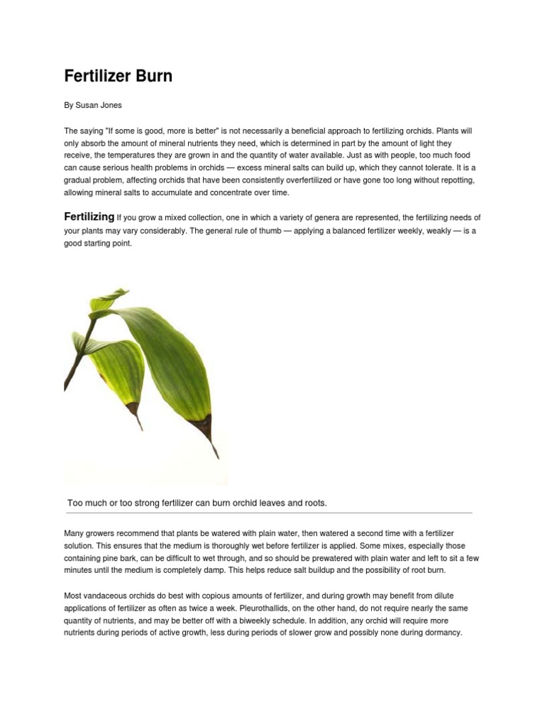 fertilizer burn Fertilizer Salt