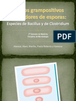 bacilosgrampositivosformadoresdeesporas-091025090123-phpapp01