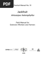 Download Jackfruit Manualpdf by dario p lina SN20042510 doc pdf