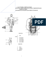 Manual Anatomie Clasa 11 Ardelean