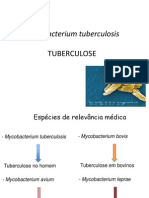 Aula+Tuberculose