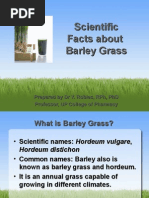 Download Scientific Facts About Barley by jayarninian SN20049463 doc pdf