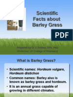 Scientific Facts About Barley
