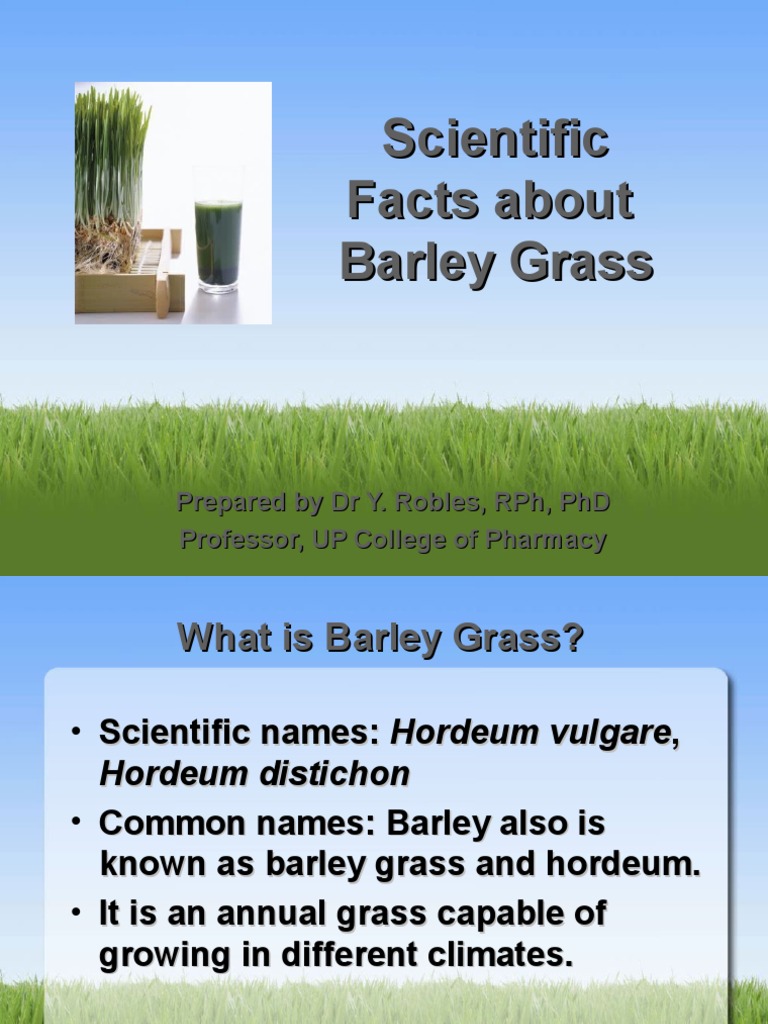 Scientific Facts About Barley Radical (Chemistry) Antioxidant