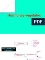 Hormonas Vegetales