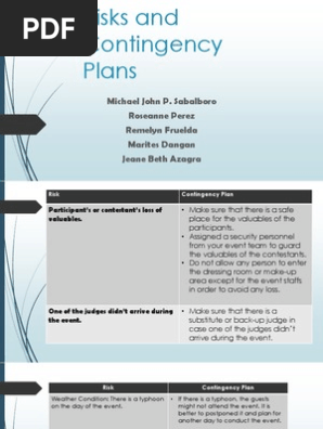 Risks and Contingency Plans