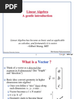 Linear Algebra A Gentle Introduction