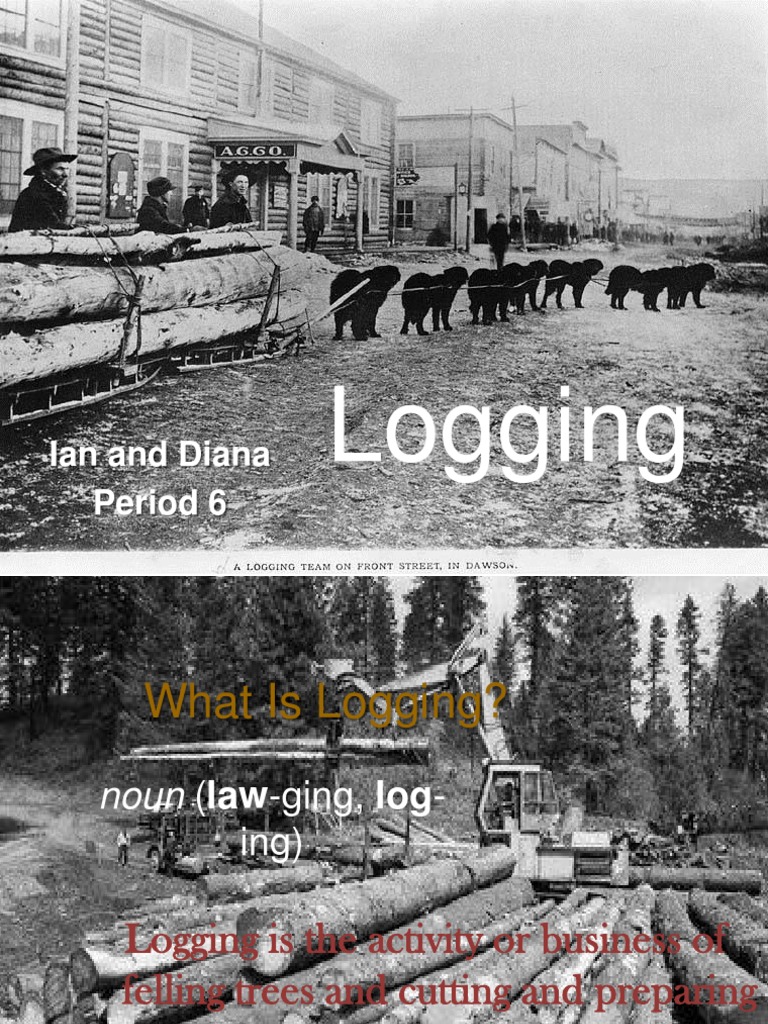 Types and Tools of Logging | PDF