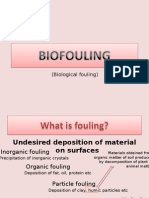 Bio Fouling