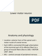 Lower Motor Neuron