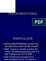 Feocromocitomul 1