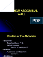 Anterior Abdominal Wall Student