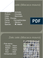Yanz Zovert Mamalia