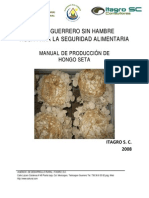 Manual de Hong Os