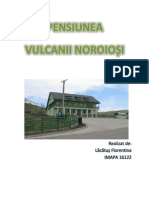 Pensiunea Vulcanii Noroiosi - SWOT