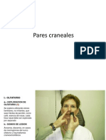 Pares Craneales