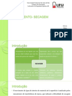 Trabalho LEQ III - Secagem