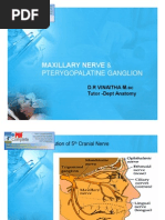 Maxillary Nerve