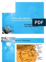 Maxillary Nerve