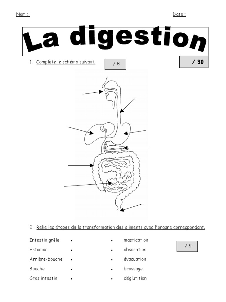 évaluation Svt Appareil Digestif 5ème Pdf evaluation-la-digestion-ddm | Question | Intégrité