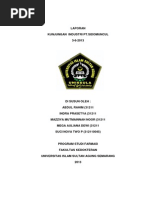 Download Laporan Ptsidomuncul Kel 3 by Siinuna Nupha SN200700621 doc pdf