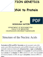 Chapter 7 - DNA to Protein_2