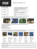 teste reprodução 5. ano