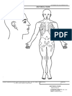 Anatomic Figure Form