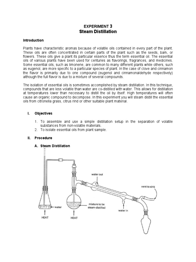 Steam Distillation of Essential Oils | PDF | Essential Oil | Distillation