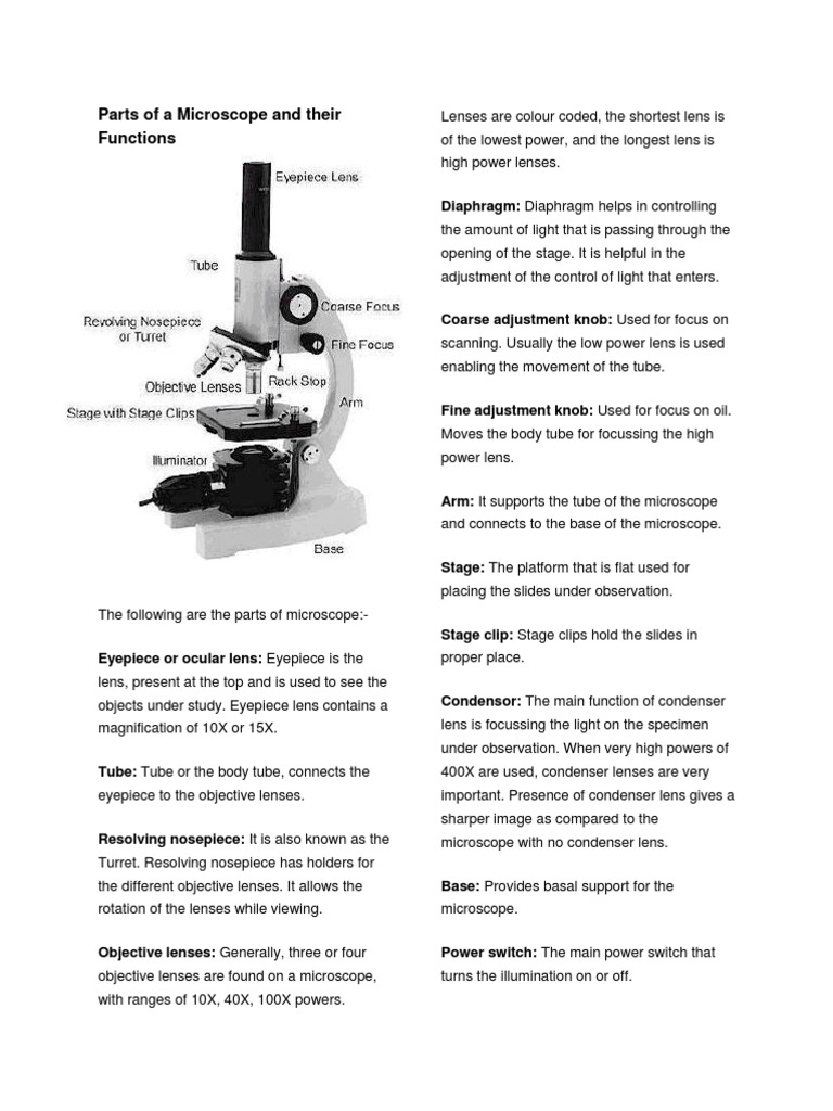 Parts of Microscope and Their Functions PDF Lens (Optics) Glass