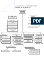 Organigrama Aem