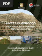 Bom Morocco English Oliveoil