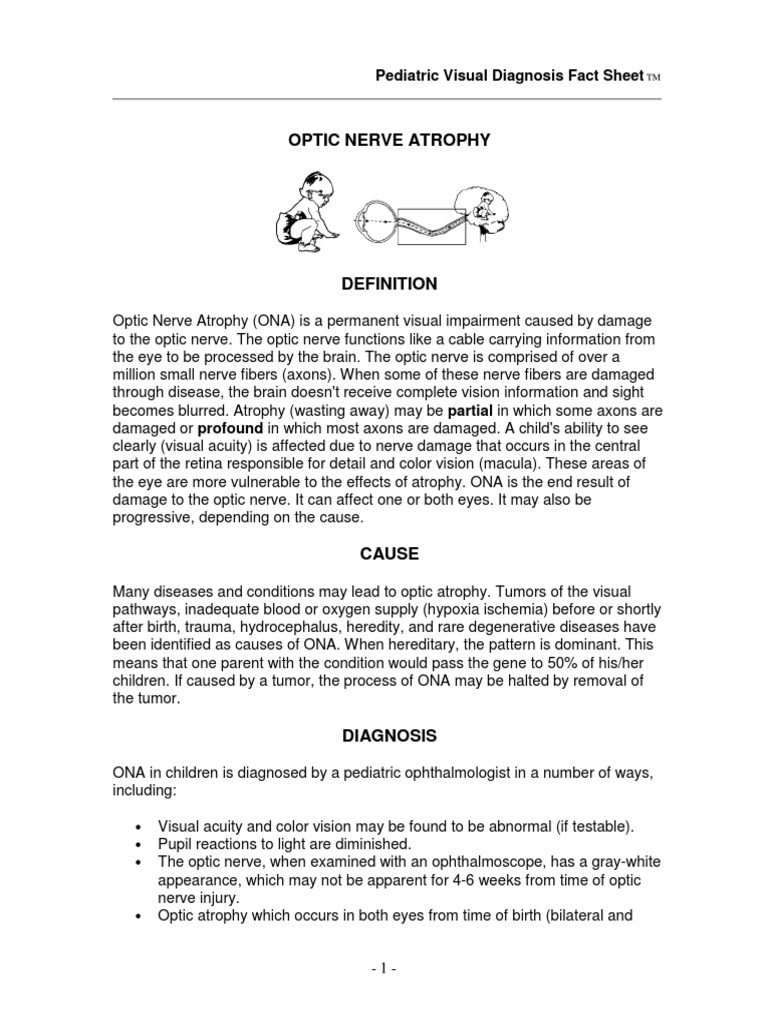 Fact Sheet Optic Nerve Atrophy PDF Visual Impairment Visual System