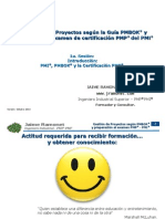 PMP-Transparencias.pdf