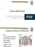 Aorta Abdominal