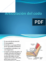 Articulación Del Codo