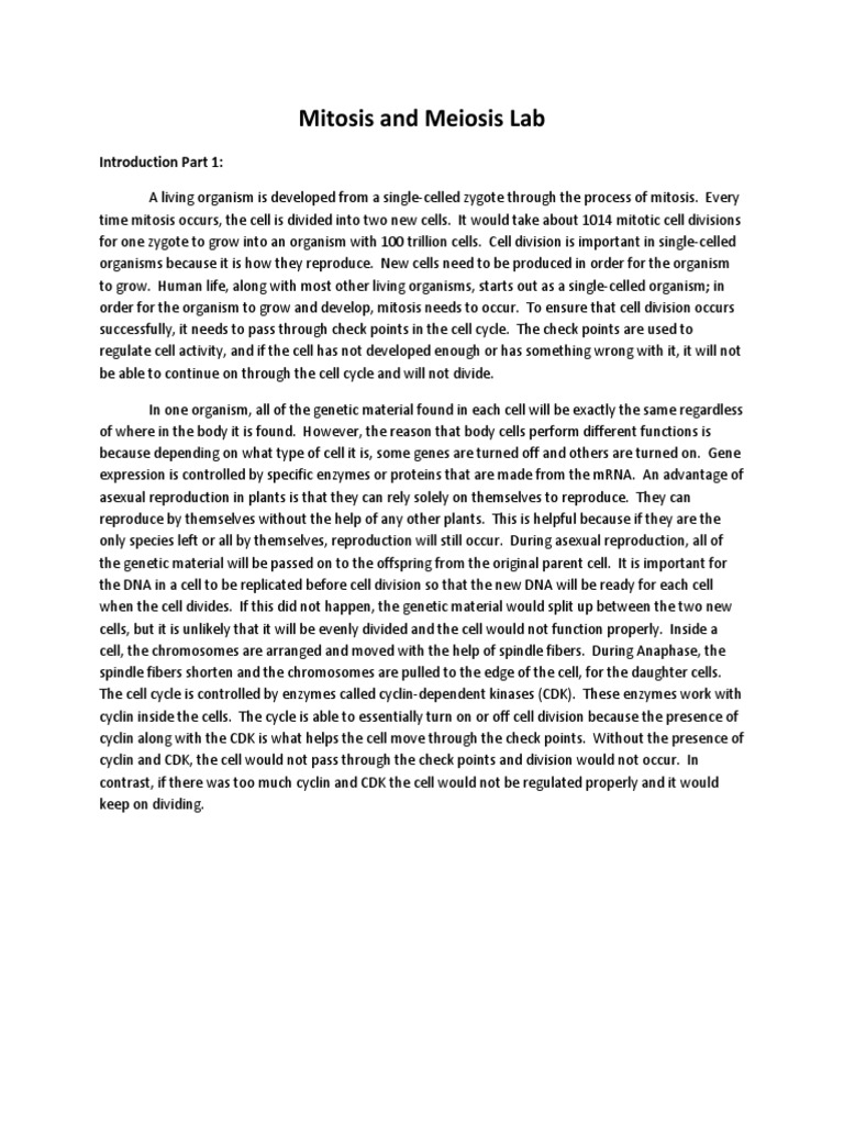 Mitosis and Meiosis Lab | PDF | Reproduction | Mitosis