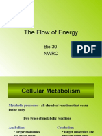 Flow of Energy Part 1