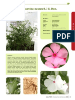 Catharanthus Roseus (L.) G. Don PDF