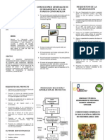 Triptico Requisitos 2012