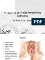 Anatomía Genitales Externos Femeninos