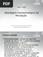 1582_1_Fenomenologia