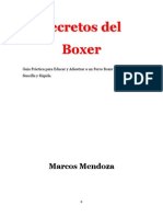 Boxer Secretos by Crowolf86