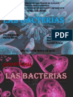 Las Bacterias Exposicion