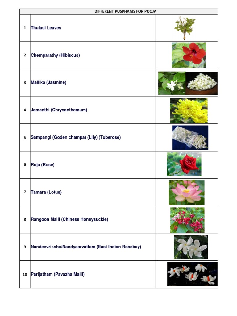 Different Types of Pooja Flowers