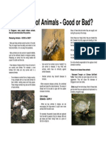 Releasing of Animals - Good or Bad?