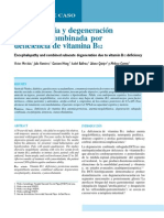 encefalopatia_y_degeneracion_subaguda.pdf