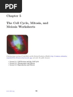 Q1 Biology - Cell Cycle, Meiosis, Mitosis (Geolina, Lance Francis R ...