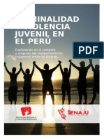 libro_criminalidad JUVENIL PERU X SENAJU.pdf